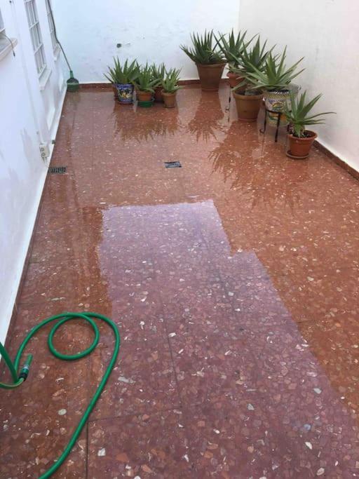 Casa Soleada en Calle Tranquila Sevilla Exterior foto