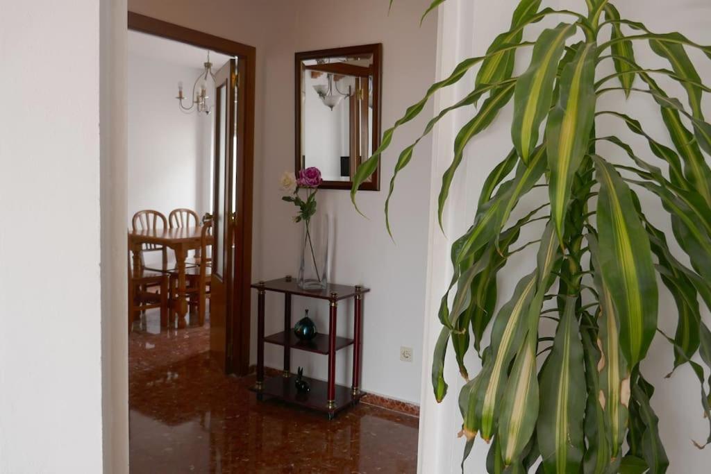 Casa Soleada en Calle Tranquila Sevilla Exterior foto
